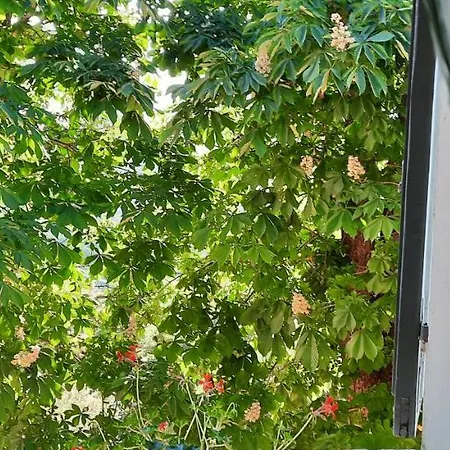 Villino Bellavista *