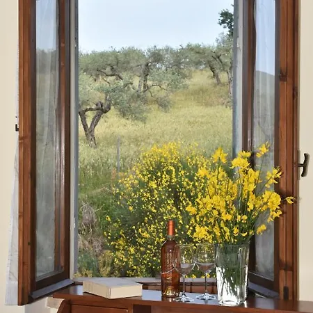 Villino Bellavista Фермерский дом